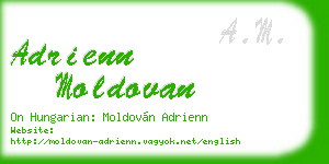 adrienn moldovan business card